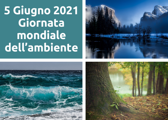 giornata mondiale ambiente(1).png